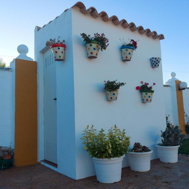 Villa Rosal- Solo familias y parejas - Chalet mit eigenem Pool - 1