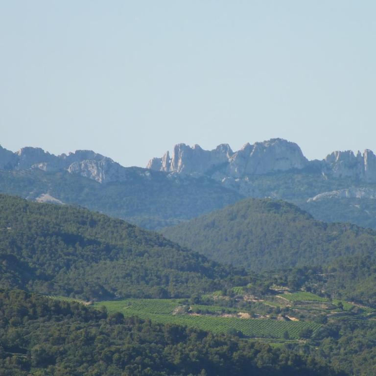 B&B La Cigaline - Chambre Double - Vue sur Jardin - 8
