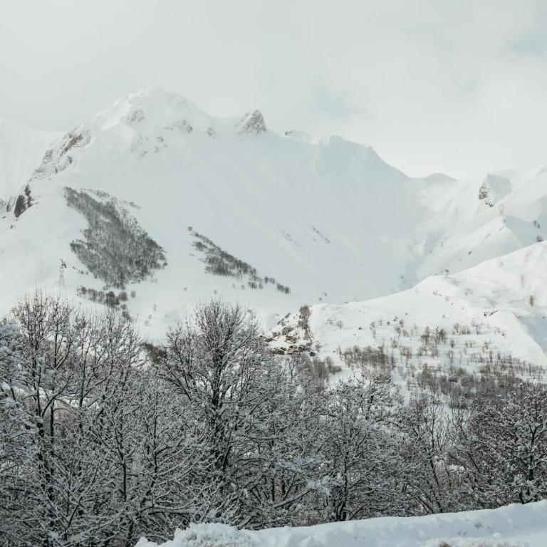 Joubarbe Rose by Lodji - Chalet 5 Chambres Supérieur - 57