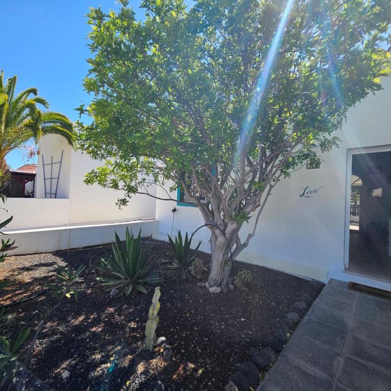 Villa Leon - Three-Bedroom House - 4