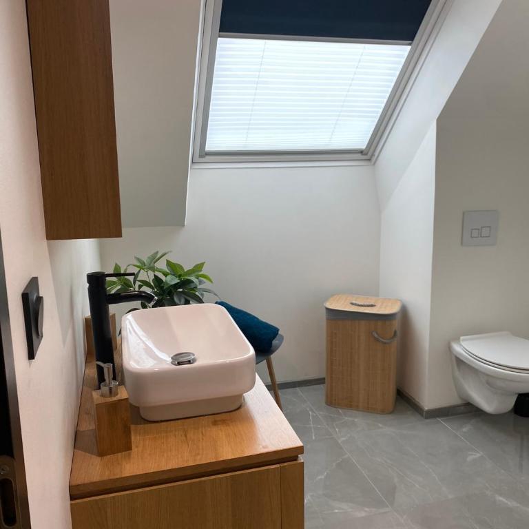 "LE COCON" en HYPERCENTRE PARKING GRATUIT - Appartement 1 Chambre - 23