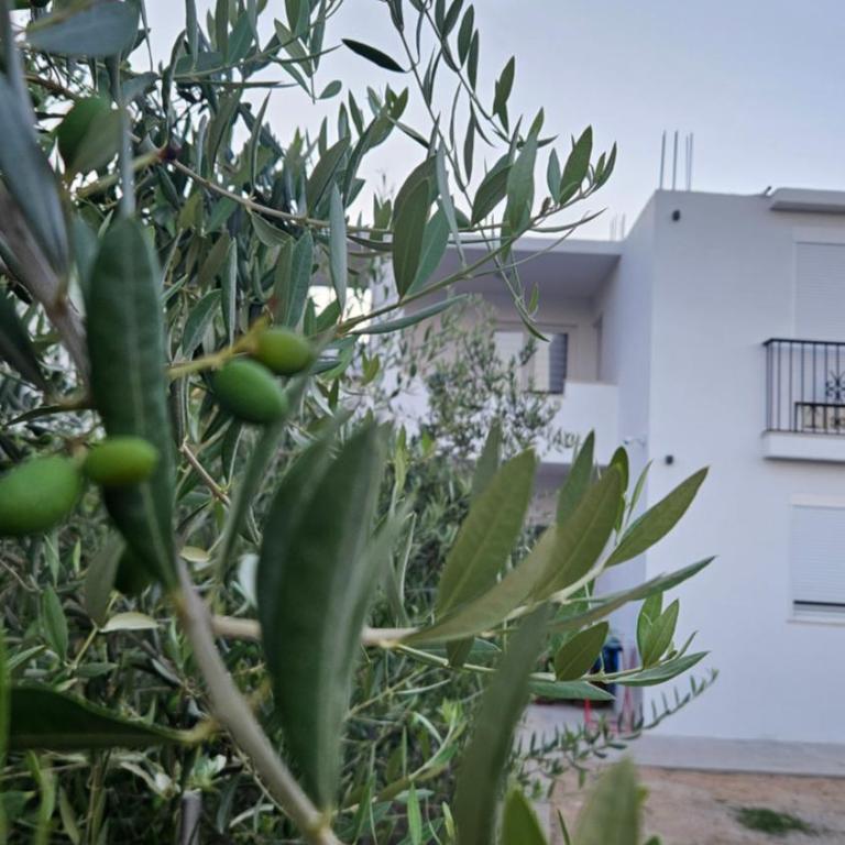 KenDar Family Apartments - Two-Bedroom Apartment - 4