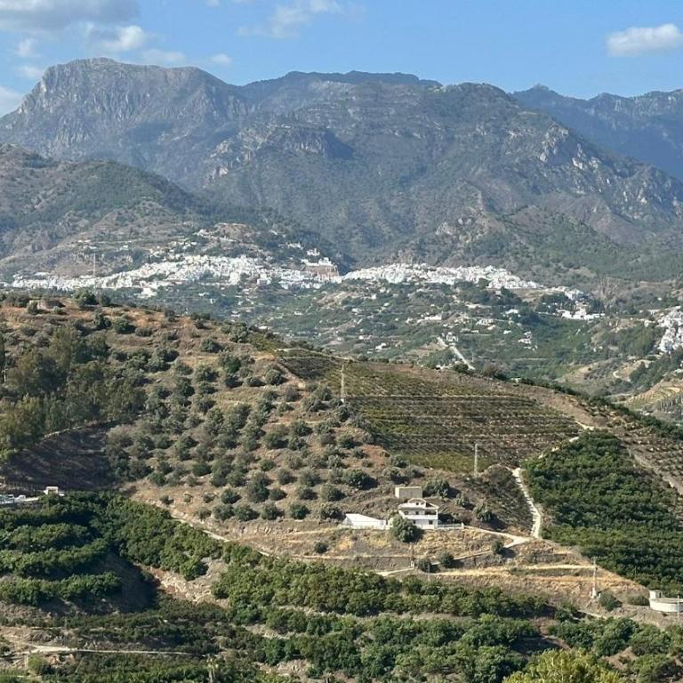 Villa Jina - Casa de 3 dormitorios - 73