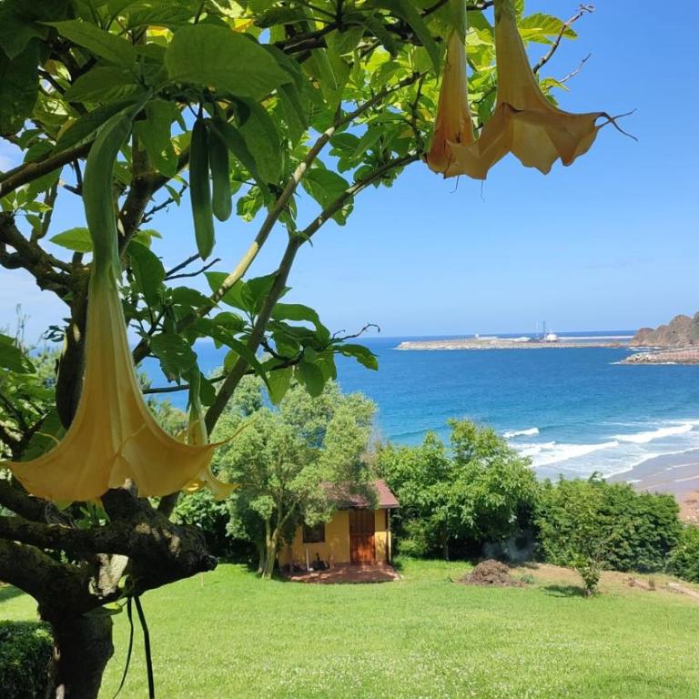 Villa hOla - Villa de 2 dormitorios - 1