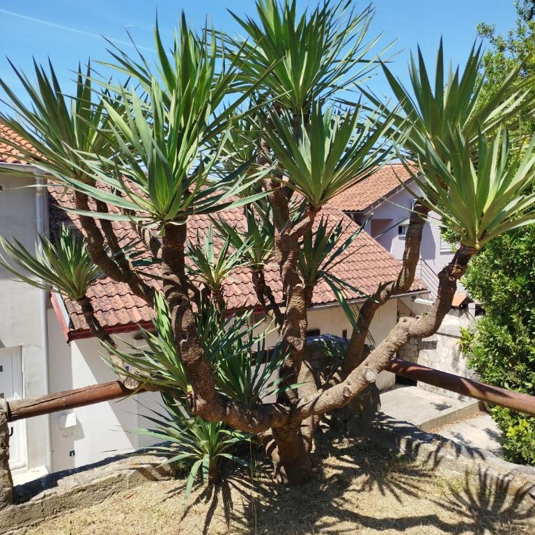 Apartment Jankovic - Apartment - 34