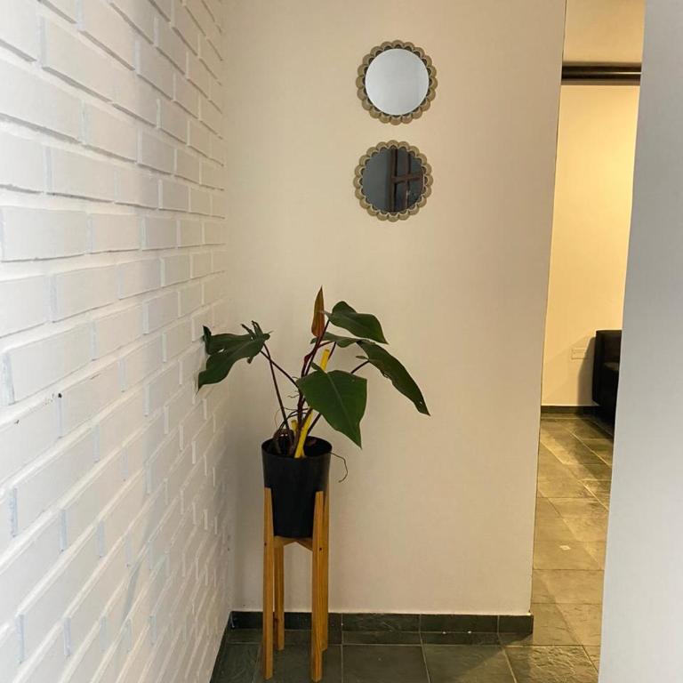 Alvear Flats III - One-Bedroom Apartment - 6