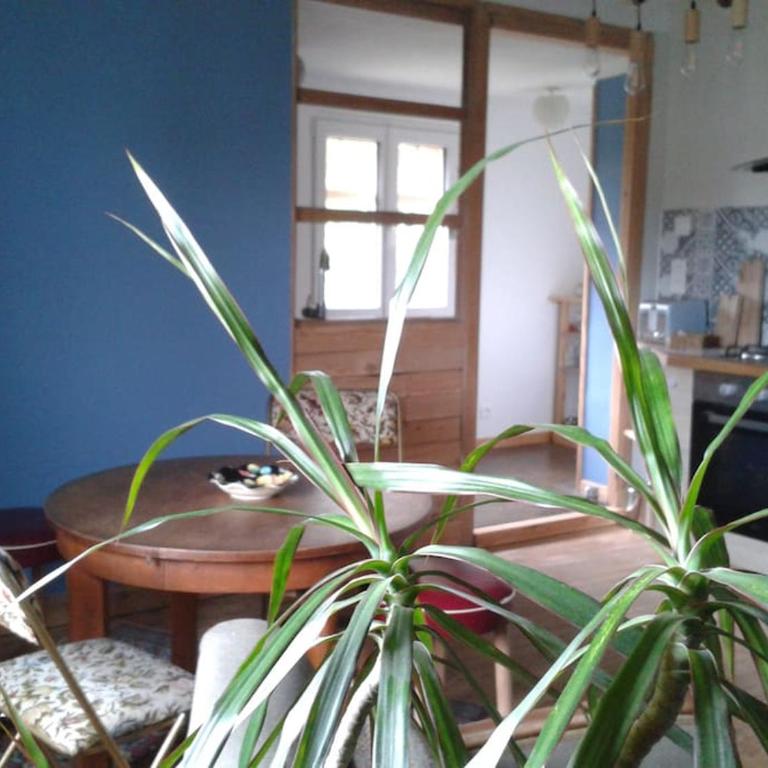 Logement indépendant - Apartment with Terrace - 6
