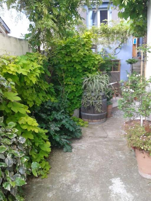 Logement indépendant - Apartment with Terrace - 7