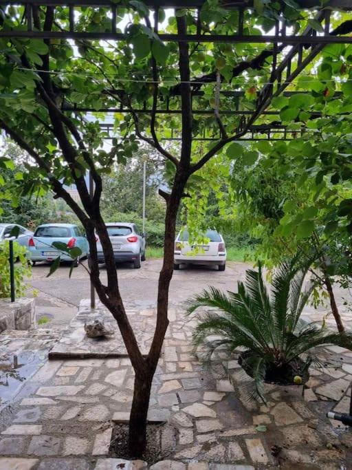 Diego - Apartman sa 1 Spavaćom Sobom - 17