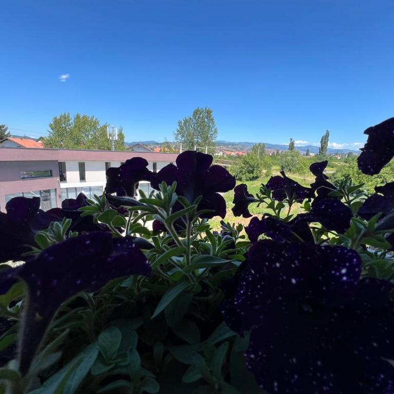 Ilidza Apartmant - Apartman sa 2 Spavaće Sobe - 3