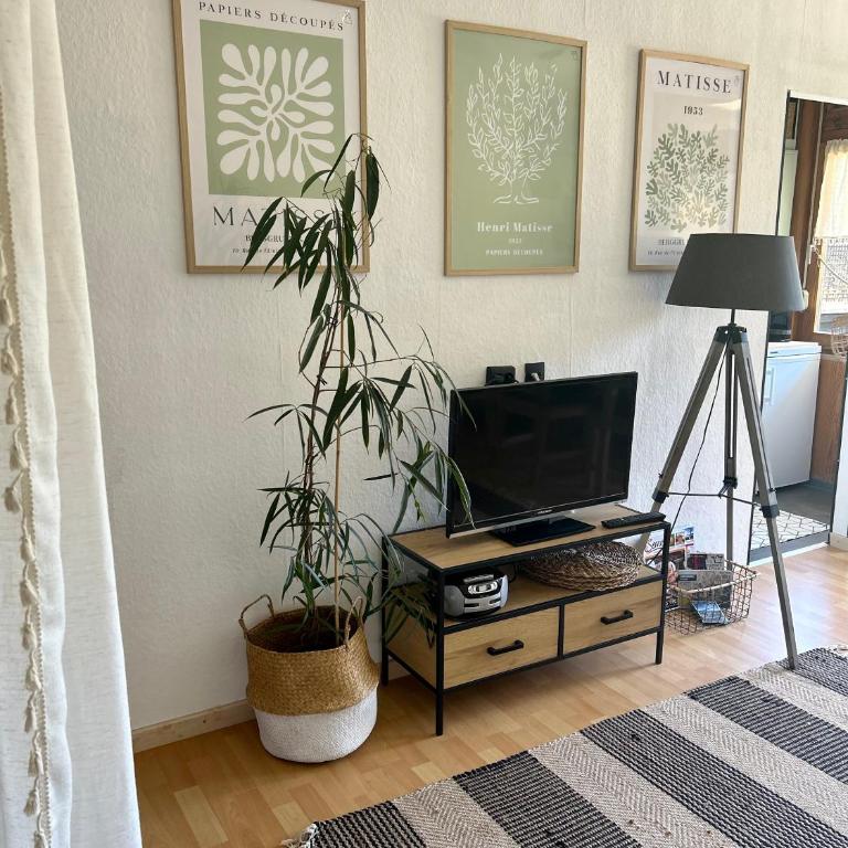 M3-Alpendomizil - Apartment mit 1 Schlafzimmer - 2