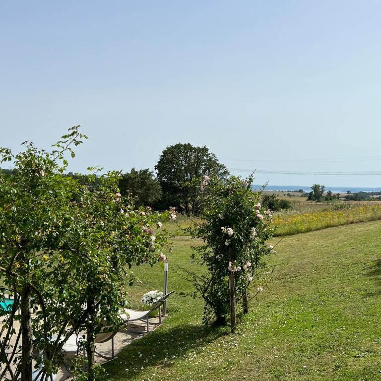 Panoramic villa with pool-COLLINABLU - Villa con Piscina Privata - 64