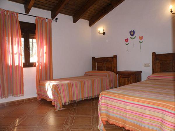 Casas Elena-Conil - Casa - 1