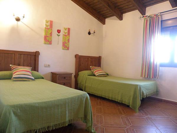 Casas Elena-Conil - Casa - 32