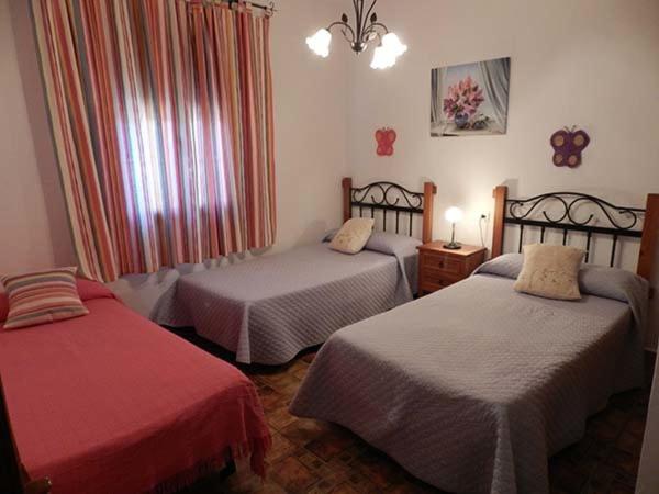 Casas Elena-Conil - Casa - 52