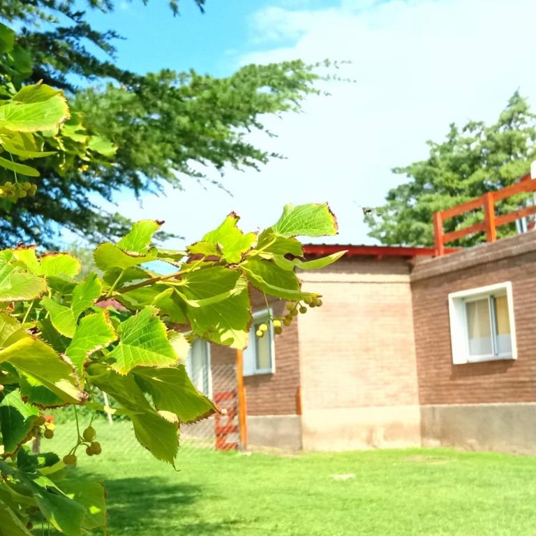Nuestro Chalet - Apartamento de 1 dormitorio - 7