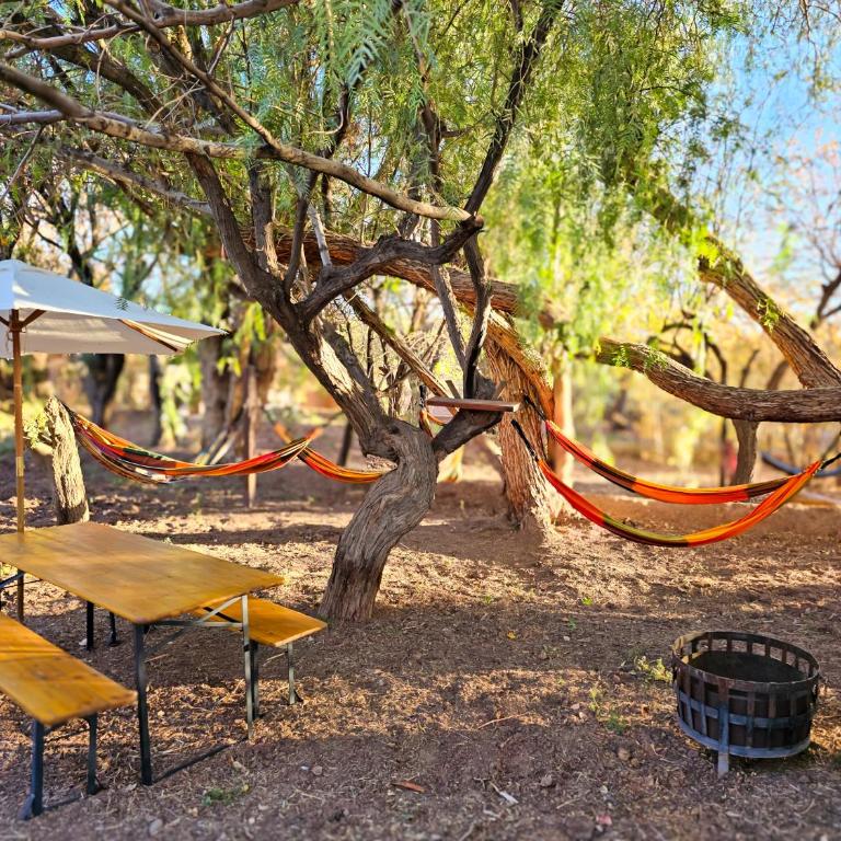 Lodge Ancar Atacama - Two-Bedroom House - 1