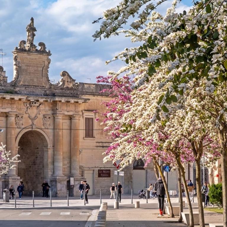 leuca bis house - Casa con 1 Camera da Letto - 9