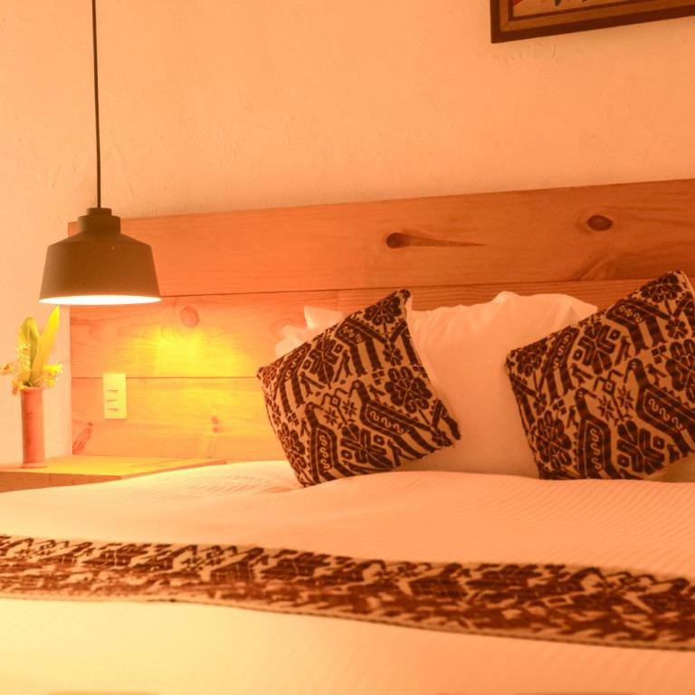 Petit Mesón (Pet Friendly Hotel) - Habitación Doble - se aceptan mascotas - cama extragrande - 19