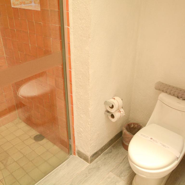 Petit Mesón (Pet Friendly Hotel) - Habitación Doble - se aceptan mascotas - cama extragrande - 25
