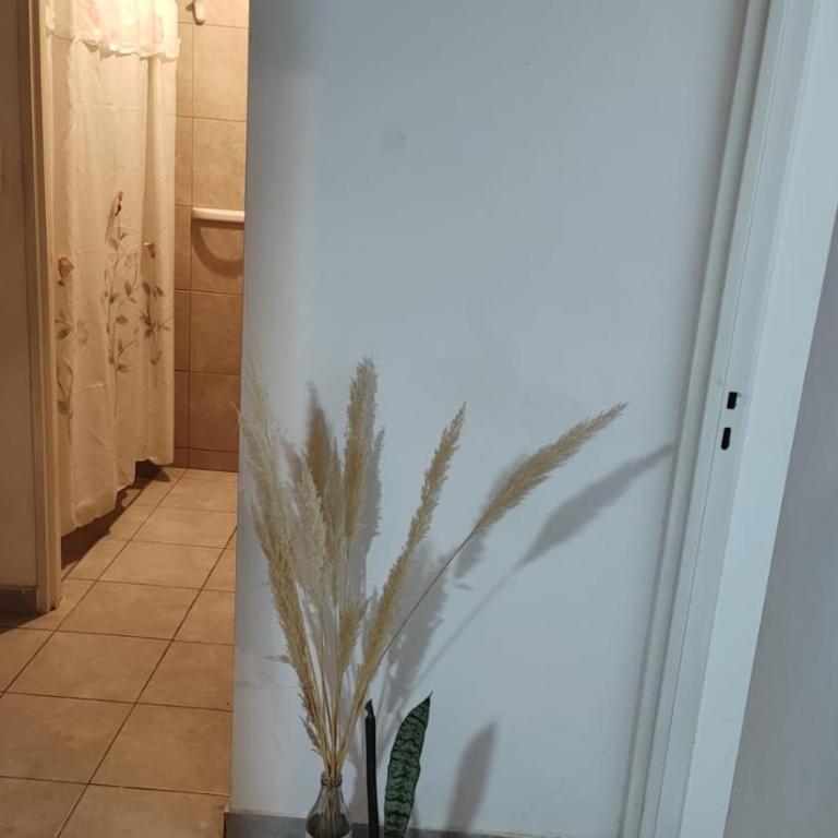 Casa de Ramiro - Apartamento de 2 dormitorios - 6