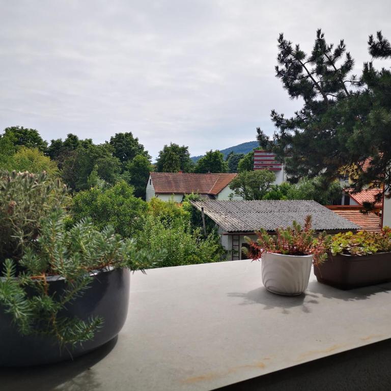 Spacy Apartment next to the center of Graz with terrasse - Apartment mit 1 Schlafzimmer - 13