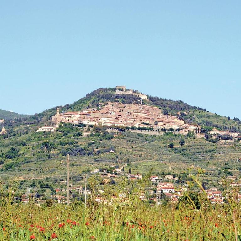 Il Marinocchio Di Malatesti - Casa Vacanze con 2 Camere da Letto - 14