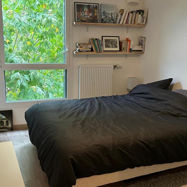 bel appartement proche centre et lac - Appartamento con 2 Camere da Letto - 24