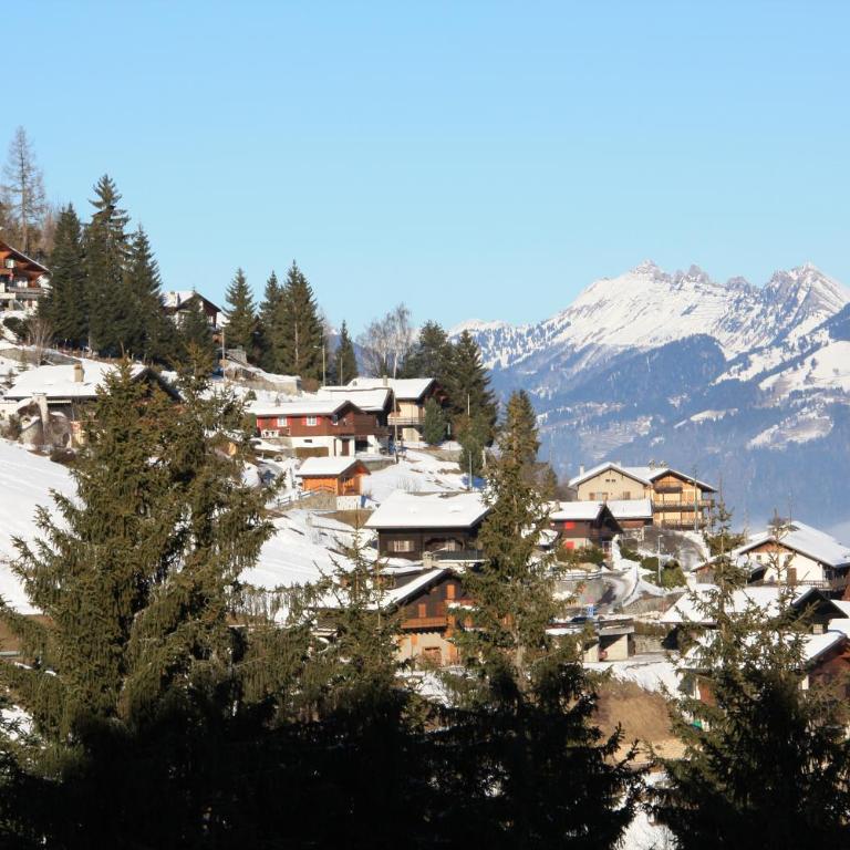 Résidence "Les Crêtes" - Apartment mit Blick auf die Berge - 54