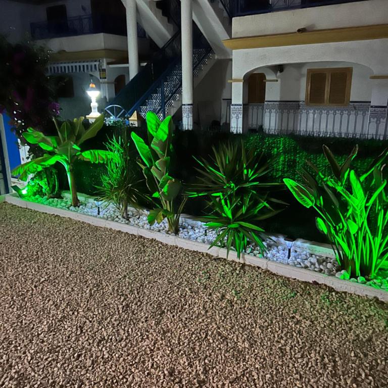 Acogedor apartamento en la playa vera - Casa de 2 dormitorios - 4