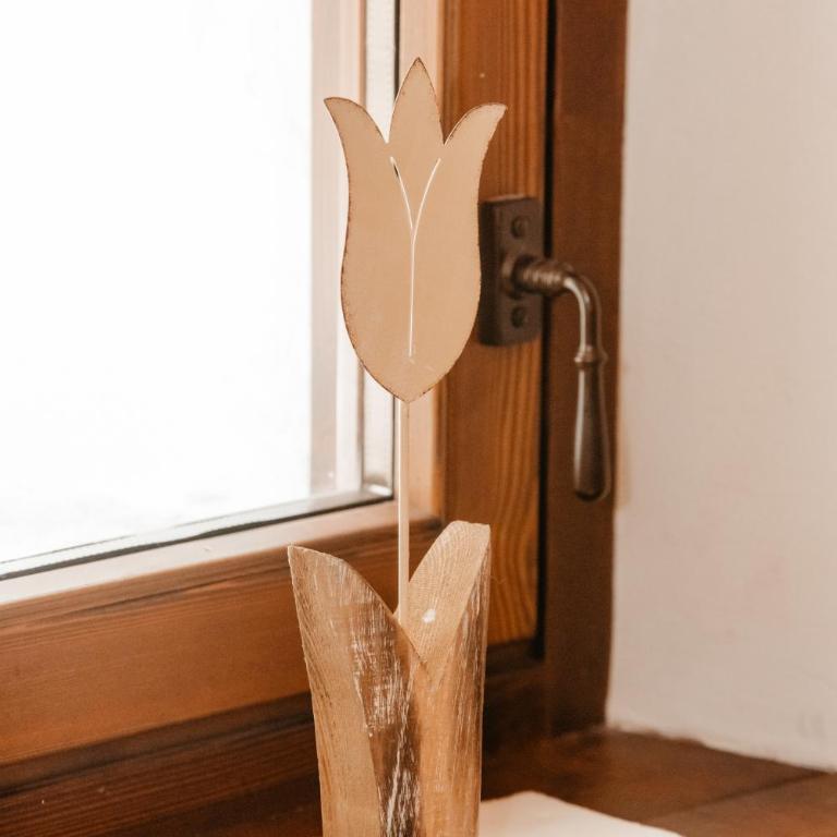 Boton d'Or - Casa con 2 Camere da Letto - 46
