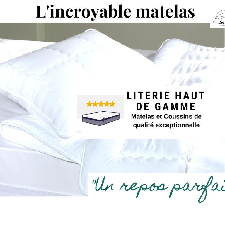 Chambre Cosy chez l habitant avec salle de bain et jardin privé - Chambre Lit Queen-Size - Vue sur Jardin - 16