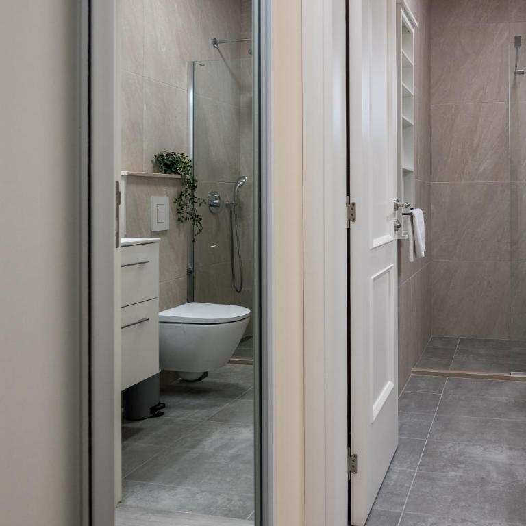 Villa Linz - Apartman s 2 Spavaće Sobe sa Balkonom i Terasom - 20