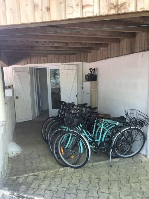 Charmante Villa en bois sur pilotis - Villa - 26