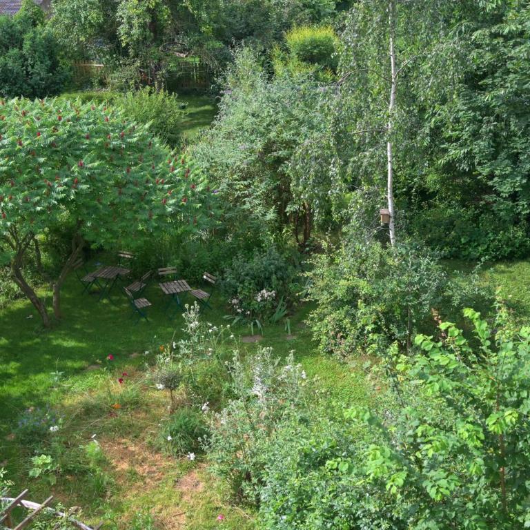 Colmar Friends and Familly guest home - COLMAR Gare - Jardin - Combles et Vous - Appartamento con Vista Giardino - 66