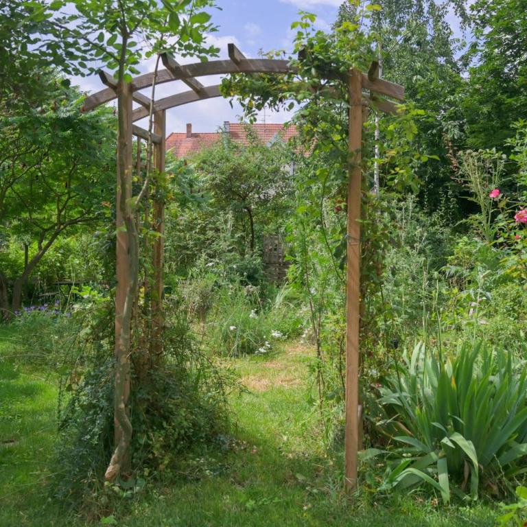 Colmar Friends and Familly guest home - COLMAR Gare - Jardin - Combles et Vous - Appartamento con Vista Giardino - 68