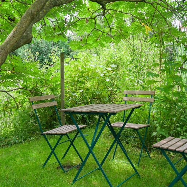 Colmar Friends and Familly guest home - COLMAR Gare - Jardin - Combles et Vous - Appartamento con Vista Giardino - 71