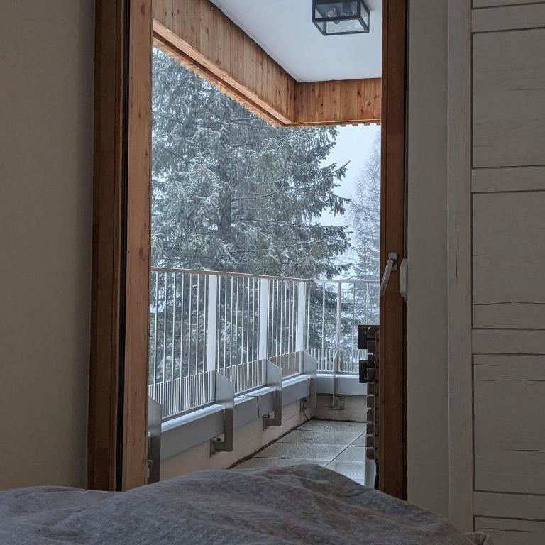 Nassfeldpass Pistenblick - Apartment mit 1 Schlafzimmer - 24