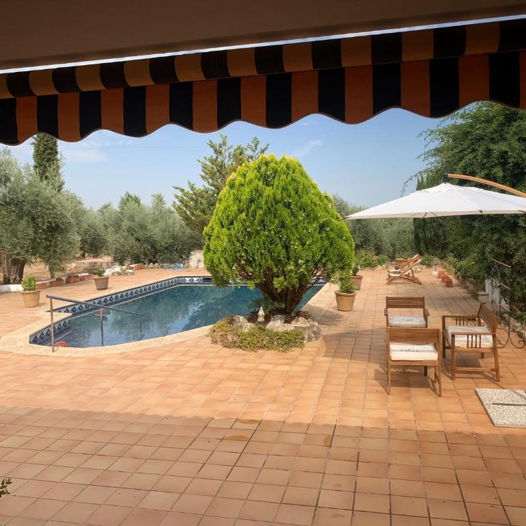 Syvyle - Three-Bedroom House - 5