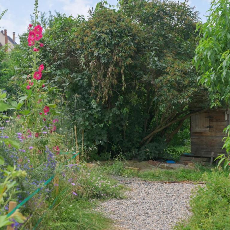 Colmar Friends and Familly guest home - COLMAR Gare - Jardin - Combles et Vous - Appartamento con Vista Giardino - 80