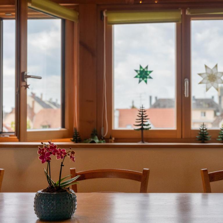 Colmar Friends and Familly guest home - COLMAR Gare - Jardin - Combles et Vous - Appartamento con Vista Giardino - 15
