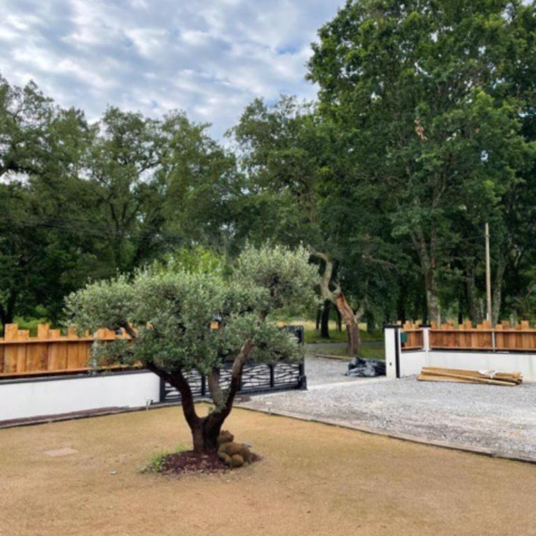 Petit paradis - Villa - 12