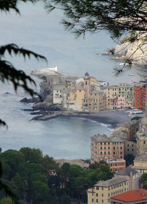 attico spettacolare vista mare - Appartamento con 3 Camere da Letto - 32