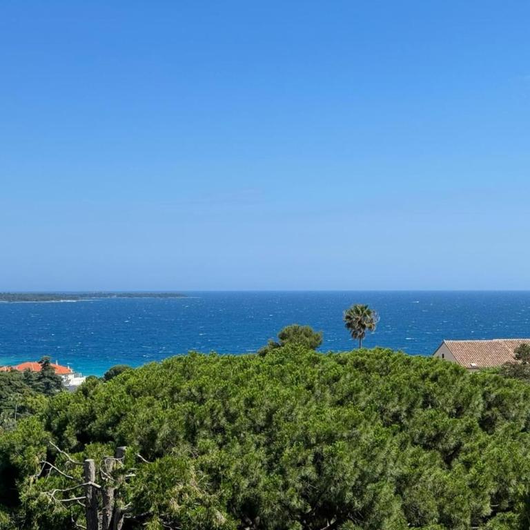 Appartment with exceptional view on the sea - Appartement - 2