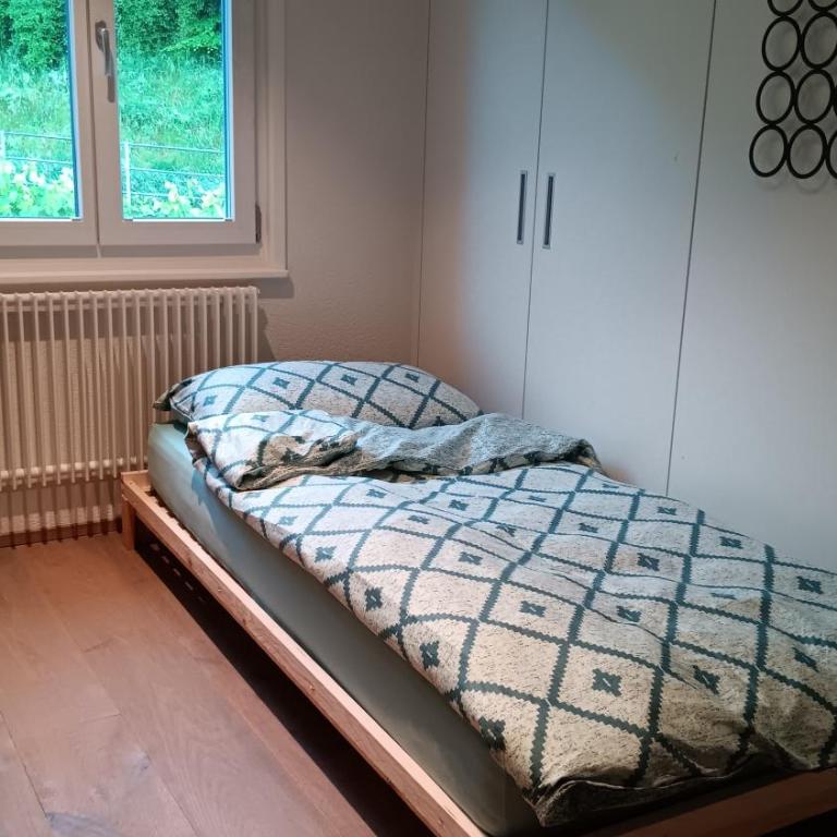 Loft la plus belle vue du lac Léman Montreux - Deluxe Apartment - 53