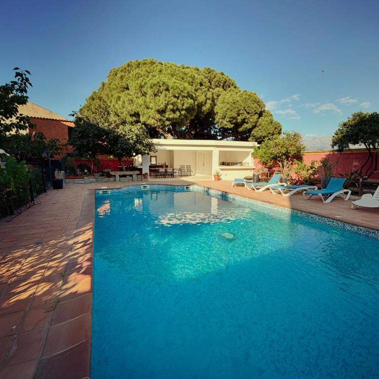 Résidence ANTONIA Appartements avec piscine commune - centre ville Calvi - Apartamento de 3 dormitorios - 1