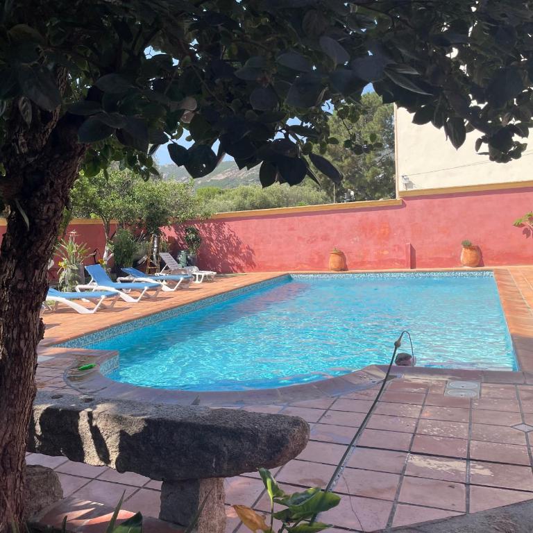 Résidence ANTONIA Appartements avec piscine commune - centre ville Calvi - Apartamento de 3 dormitorios - 5