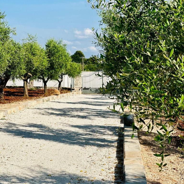 Trulli Muolo - Villa - 9