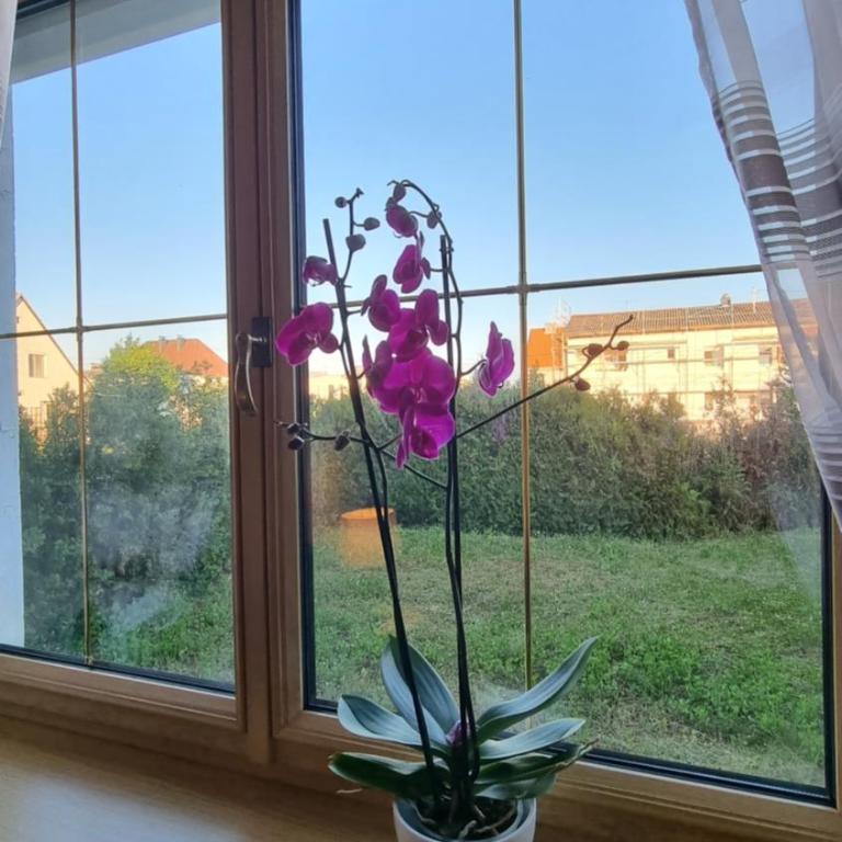 3- Zimmer-Wohnung in Linz Leonding - Apartment mit 2 Schlafzimmern - 13