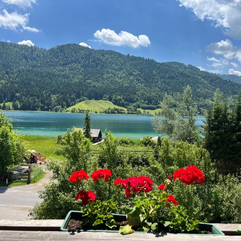 Pferdehof Rupitsch - Haus Carina - Apartment mit 1 Schlafzimmer und Balkon - 1